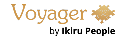 Voyager Infinity logo