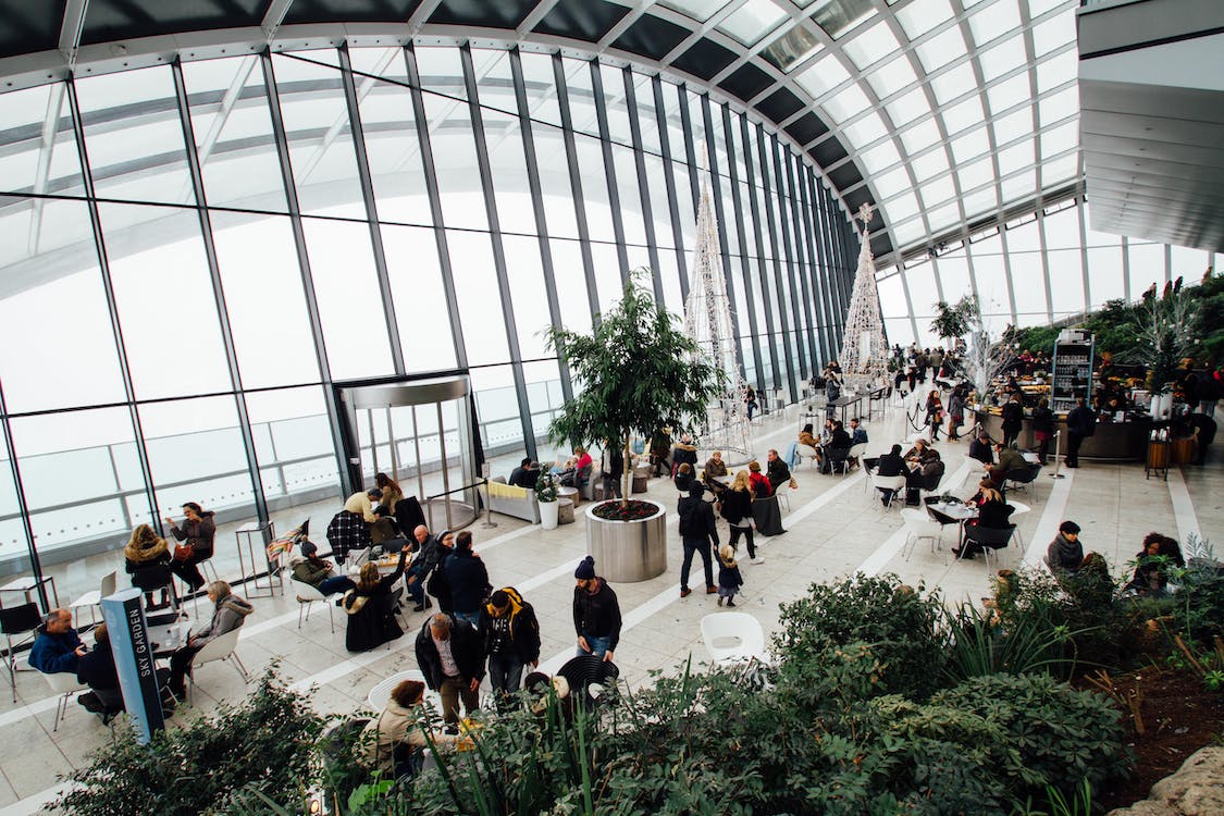 Corporate event with huge Christmas trees