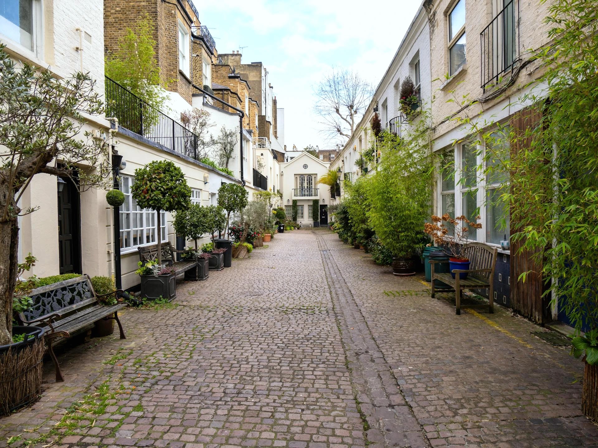 Cobbled British mews lined with plants and period houses